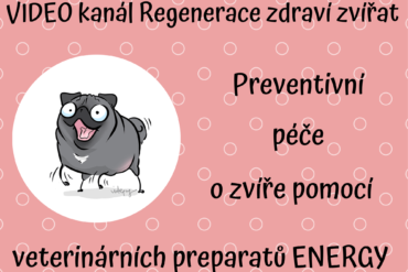 Video – Které preparáty ENERGY využijete na dovolené a na cestách se svým psem